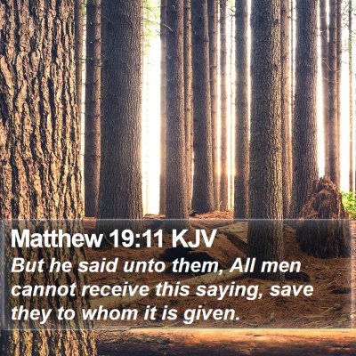 Matthew 19:11 KJV Bible Verse Image