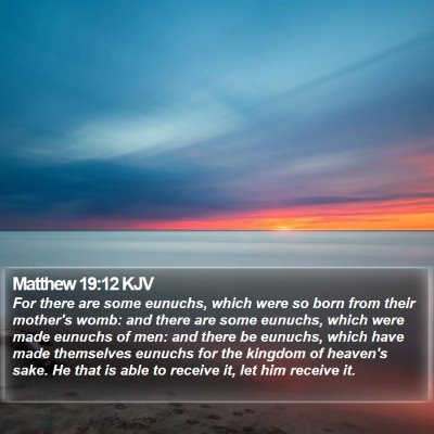 Matthew 19:12 KJV Bible Verse Image