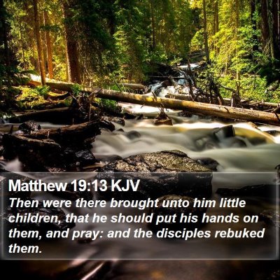 Matthew 19:13 KJV Bible Verse Image