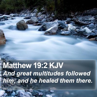 Matthew 19:2 KJV Bible Verse Image