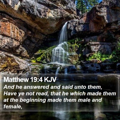 Matthew 19:4 KJV Bible Verse Image