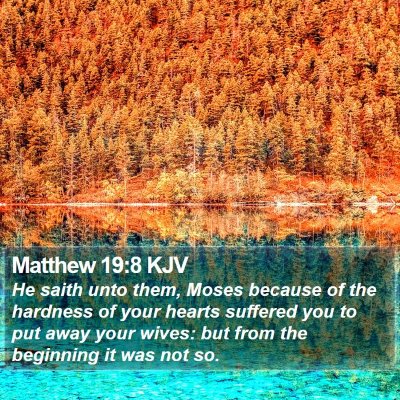 Matthew 19:8 KJV Bible Verse Image