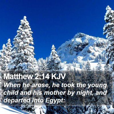 Matthew 2:14 KJV Bible Verse Image