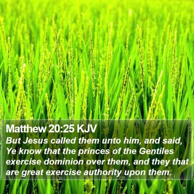 Matthew 20:25 KJV Bible Verse Image