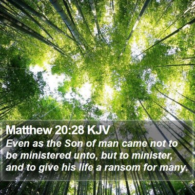 Matthew 20:28 KJV Bible Verse Image