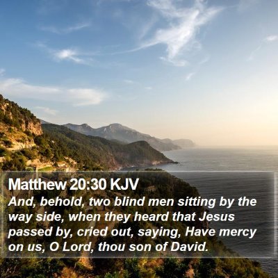 Matthew 20:30 KJV Bible Verse Image