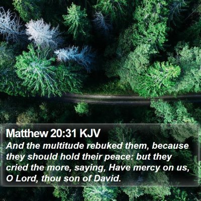 Matthew 20:31 KJV Bible Verse Image