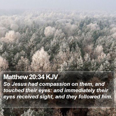 Matthew 20:34 KJV Bible Verse Image