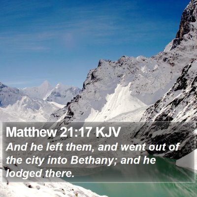 Matthew 21:17 KJV Bible Verse Image