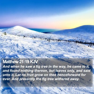 Matthew 21:19 KJV Bible Verse Image