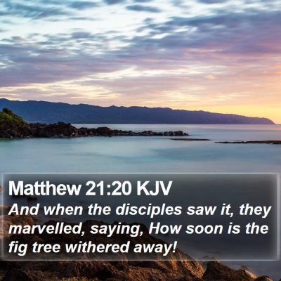 Matthew 21:20 KJV Bible Verse Image