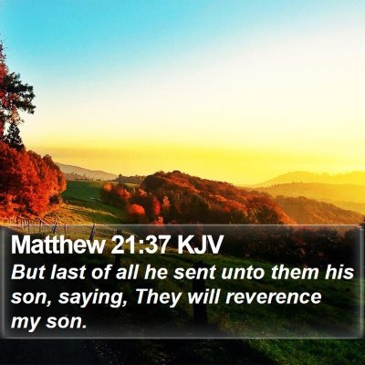 Matthew 21:37 KJV Bible Verse Image
