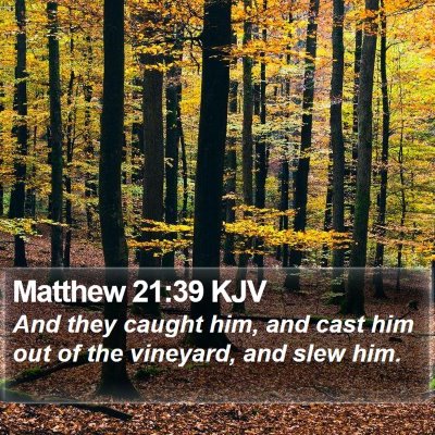 Matthew 21:39 KJV Bible Verse Image