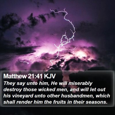 Matthew 21:41 KJV Bible Verse Image