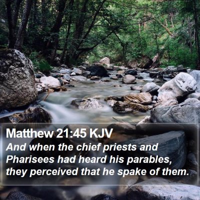 Matthew 21:45 KJV Bible Verse Image