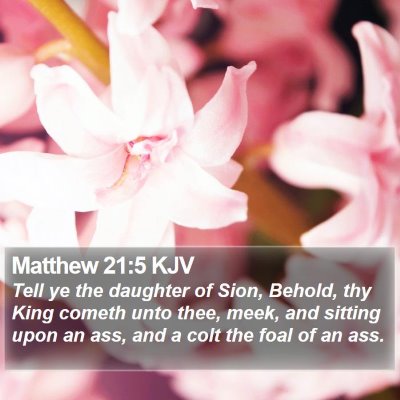 Matthew 21:5 KJV Bible Verse Image