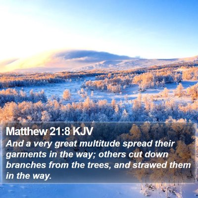 Matthew 21:8 KJV Bible Verse Image