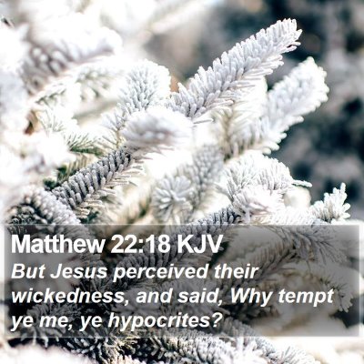 Matthew 22:18 KJV Bible Verse Image