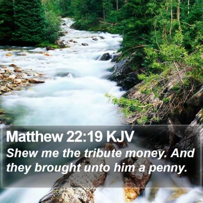 Matthew 22:19 KJV Bible Verse Image