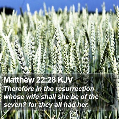 Matthew 22:28 KJV Bible Verse Image