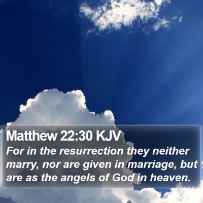 Matthew 22:30 KJV Bible Verse Image