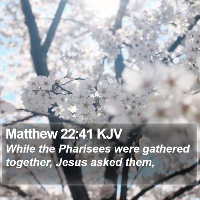 Matthew 22:41 KJV Bible Verse Image