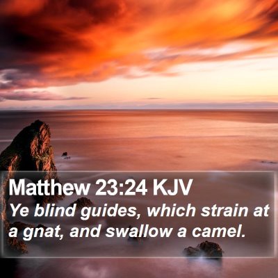 Matthew 23:24 KJV Bible Verse Image