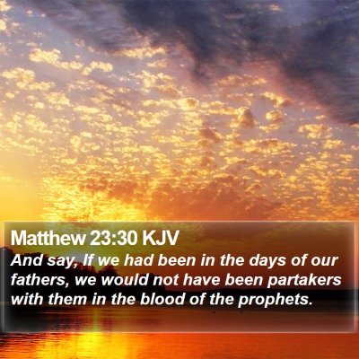 Matthew 23:30 KJV Bible Verse Image