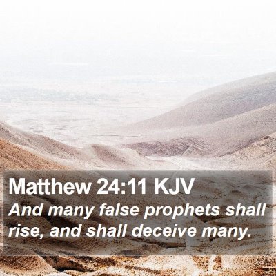 Matthew 24:11 KJV Bible Verse Image