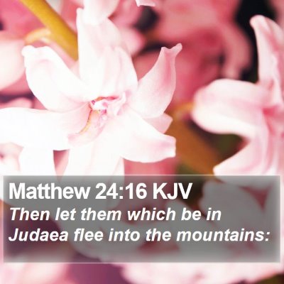 Matthew 24:16 KJV Bible Verse Image