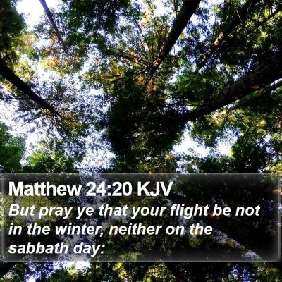 Matthew 24:20 KJV Bible Verse Image