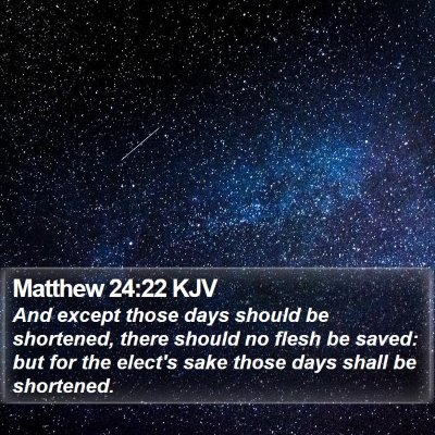 Matthew 24:22 KJV Bible Verse Image