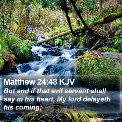 Matthew 24:48 KJV Bible Verse Image