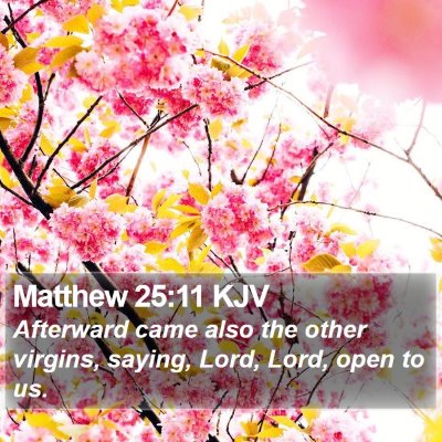 Matthew 25:11 KJV Bible Verse Image