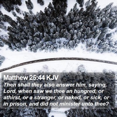 Matthew 25:44 KJV Bible Verse Image