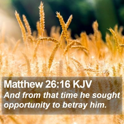 Matthew 26:16 KJV Bible Verse Image