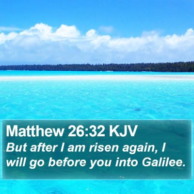 Matthew 26:32 KJV Bible Verse Image