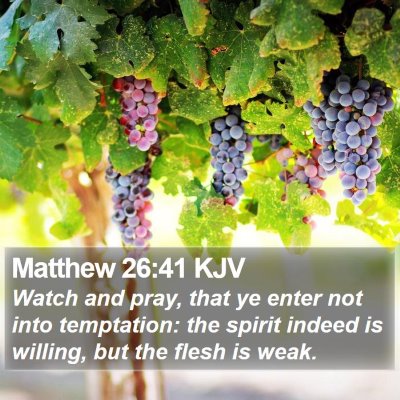 Matthew 26:41 KJV Bible Verse Image