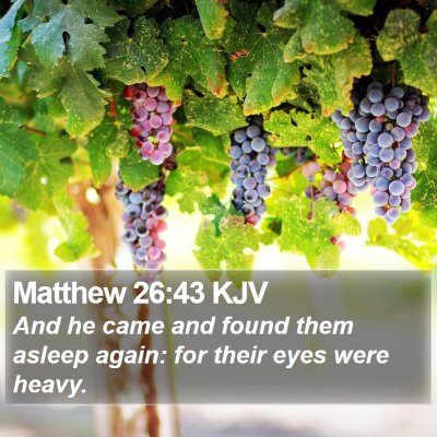 Matthew 26:43 KJV Bible Verse Image
