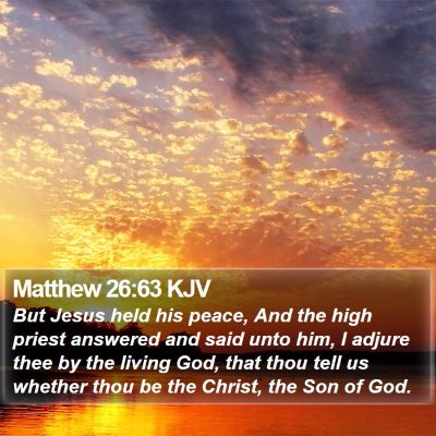 Matthew 26:63 KJV Bible Verse Image