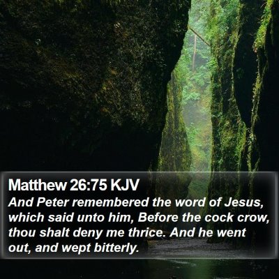 Matthew 26:75 KJV Bible Verse Image