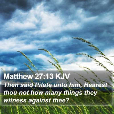 Matthew 27:13 KJV Bible Verse Image