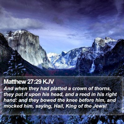 Matthew 27:29 KJV Bible Verse Image