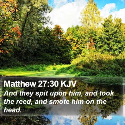Matthew 27:30 KJV Bible Verse Image