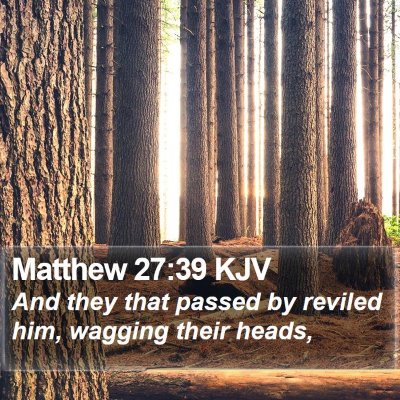 Matthew 27:39 KJV Bible Verse Image