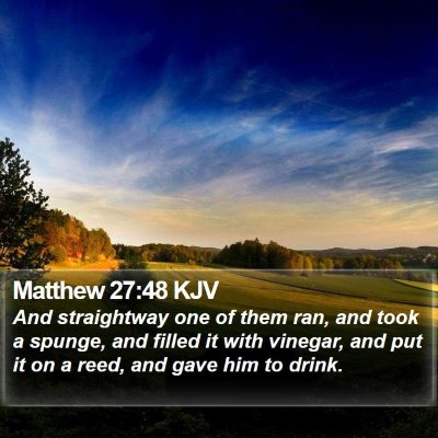 Matthew 27:48 KJV Bible Verse Image