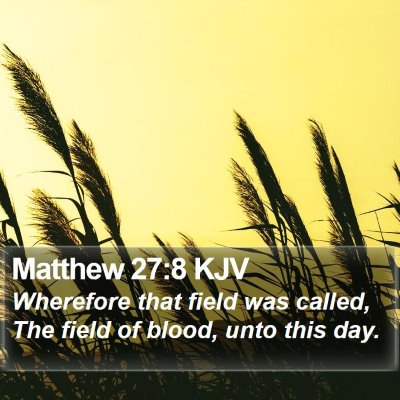 Matthew 27:8 KJV Bible Verse Image