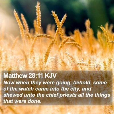 Matthew 28:11 KJV Bible Verse Image