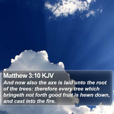 Matthew 3:10 KJV Bible Verse Image