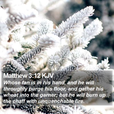 Matthew 3:12 KJV Bible Verse Image